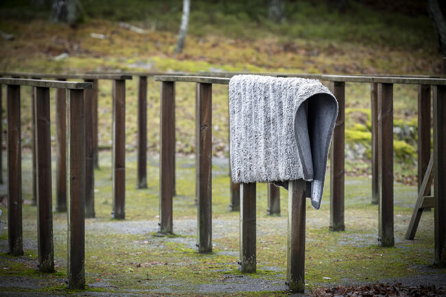 Lumipesun sijaan matot kannattaa raikastaa ruokasoodalla ja tuulettamalla ulkona pakkasessa. 