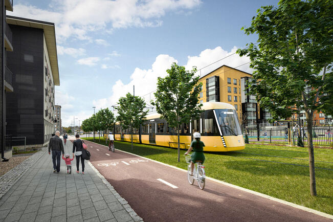 Raitsikka näyttäisi havainnekuvan mukaan tältä Kirstinpuiston asuinalueella. 