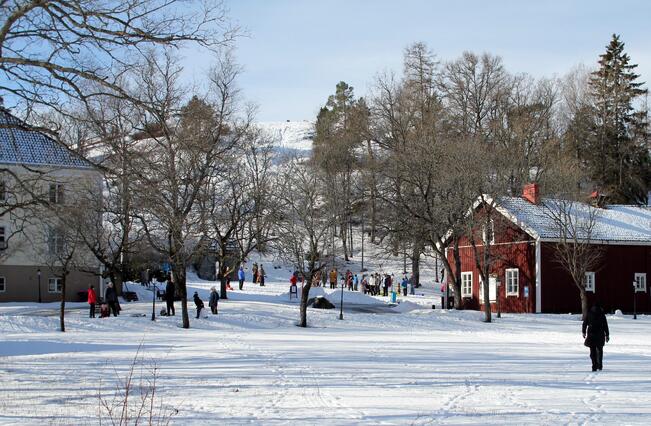 Mäenlasku tapahtuu omalla vastuulla aikuisen valvonnassa. 
