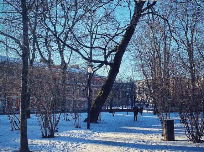 Henkrik Tempilin polku on Porthaninpuistossa.
