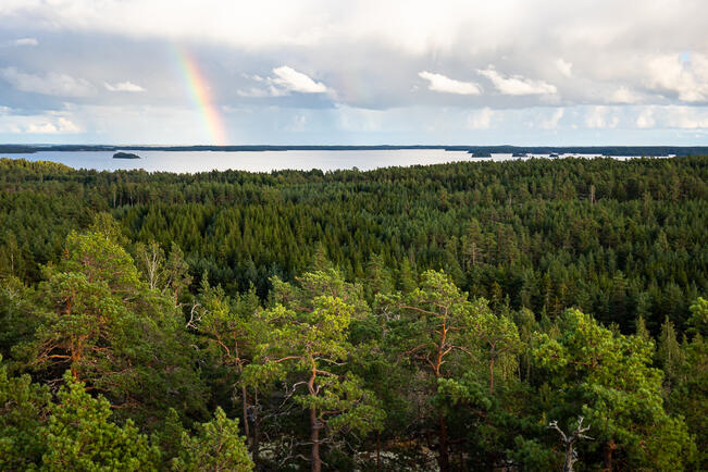 Kemiönsaaren luonto ry perustettiin yli 40 vuotta sitten.