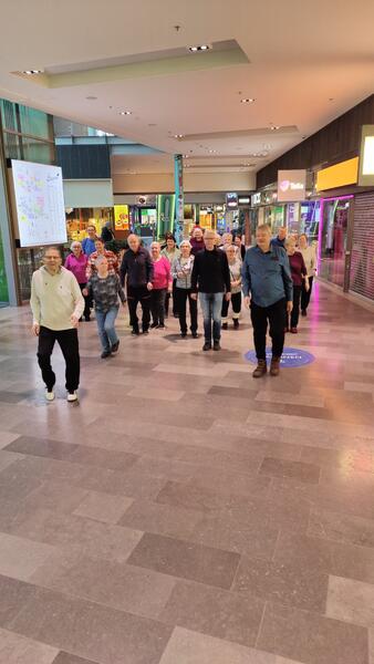 Kävelyn ohessa pysähdytään tekemään jumppaliikkeitä.