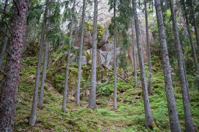 Miksi linnavuoria rakennettiin, kysyy Harri Ahonen.