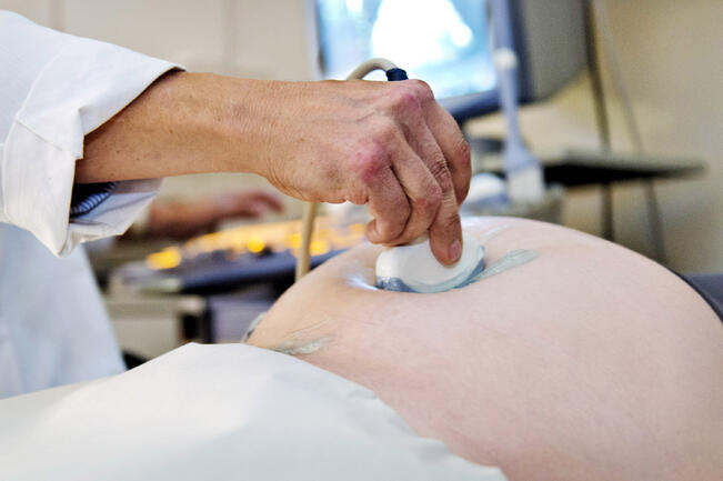 Kirjoittajien mukaan määräaikaisuuksien helpottamisella voi olla lasten hankintaa lykkäävä vaikutus.