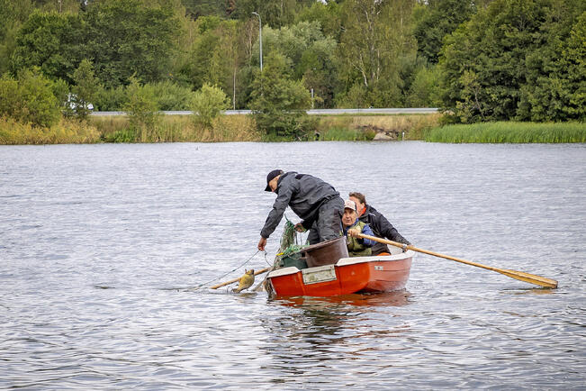 Metsähallituksen mukaan monilla kalastajilla on puutetta pyydysmerkinnöissä. Kuvassa lasketaan luvallisesti koekalastusverkkoja Naantalin Luolalanjärvellä.