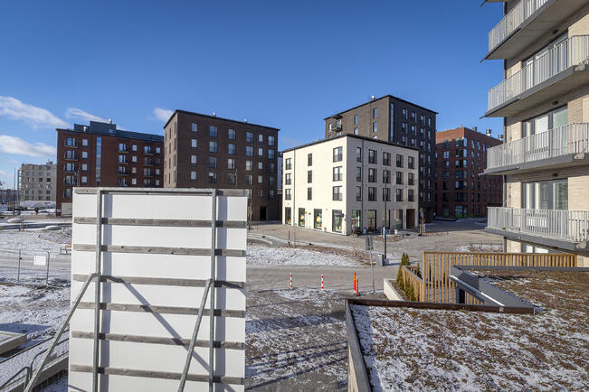 Kirjoittajien mukaan kasvukeskusten ympärille on toteutettu tiiviitä, tehokkaita, tylyjä ja korkeita asuin- ja toimistoalueita, joihin kasautuu yhteiskunnallisia ongelmia.