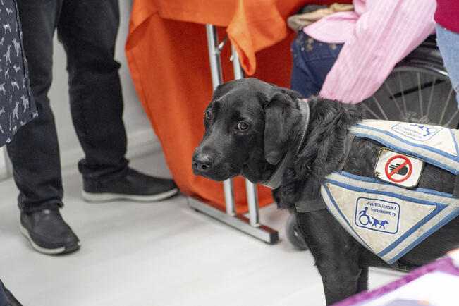 Lounatuulet Yhteisötalolla järjestetään erityisryhmille monenlaista toimintaa.