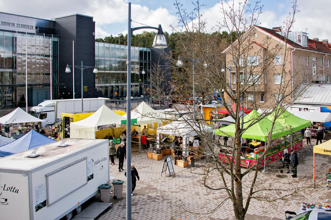 Osa yrityksistä on esittelemässä tuotteitaan ja palveluitaan Naantalin torilla. 