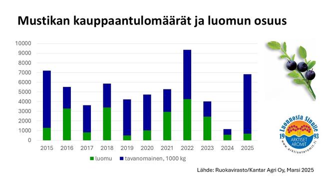 Mustikan kauppaantulomäärät ja luomumustikan osuus kokonaiskeruumäärästä 2016-2025.