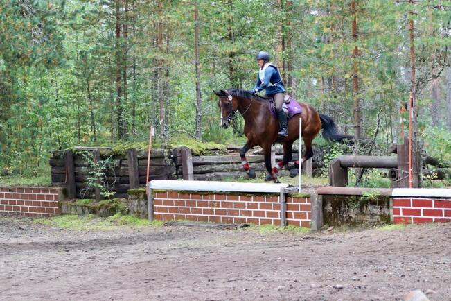 Esti Laaksosen mukaan kenttäratsastuksessa pärjää kunnioittamalla hevosta, mutta ratsastajan on myös oltava selkeä johtaja. Kuvassa ratsuna on Flaming Tailwind.