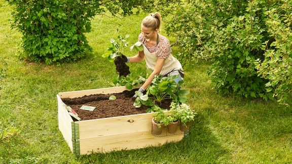 Lavakauluksessa on helppo kasvattaa kesän sato.  