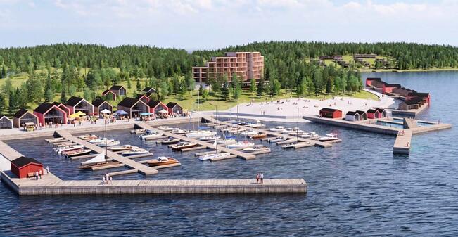 Havainnekuva Sami Saaren palkitusta työstä.