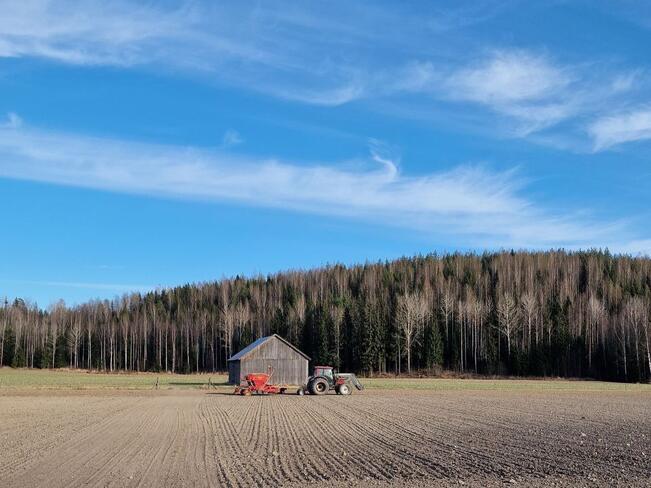 Kevättyöt ovat noin 5–10 päivää edellä tavallisesta, vaikka kylmät yöt ja viileä sää ovat hidastaneet kasvukauden etenemistä.
