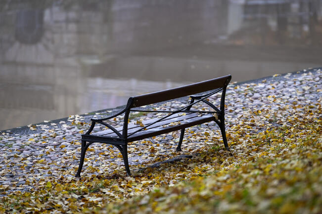 Raitsikkakeskustelun perusteella Turku on paitsi ahdas ja erityisen savinen myös perin köyhä eikä täällä voi onnistua mikään sellainen, joka on onnistunut muualla.
