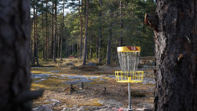 Liedon uusittu frisbeegolfkenttä avattiin vapun jälkeen.