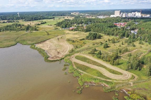 Ruovikon niitto avaa näkymiä Raisiolahdelle, parantaa vesilintujen pesimäoloja ja hillitsee lahden rehevöitymistä.