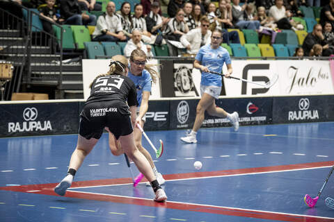 Neea Rinne (53) 