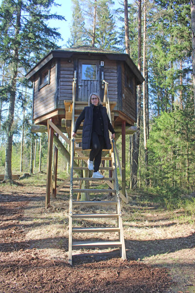 Puumajoissa voi majoittua metsän uumenissa. Nina Johansson on keväällä korjannut puumajojen rappusia.