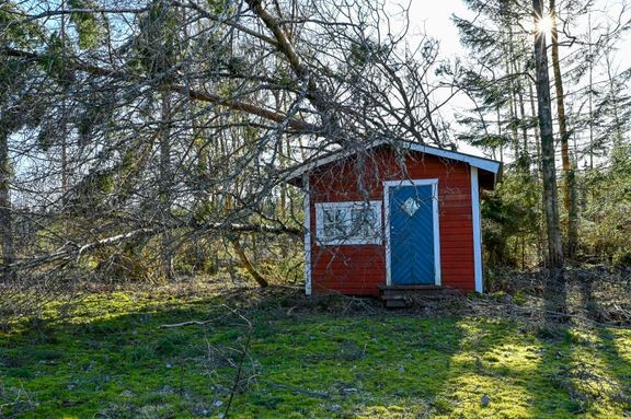 Suuri osa myrskyn aiheuttamista vahingoista voitaisiin estää, jos kovaan tuuleen ja mahdollisiin sähkökatkoihin varauduttaisiin.