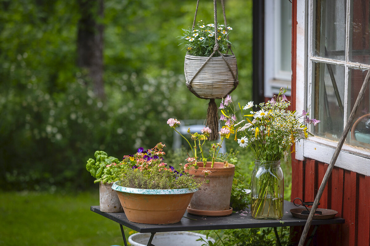 Lähes joka neljäs mökkeilijä on toteuttanut tai harkinnut rakentamista mökille kevyemmällä lupamenettelyllä.
