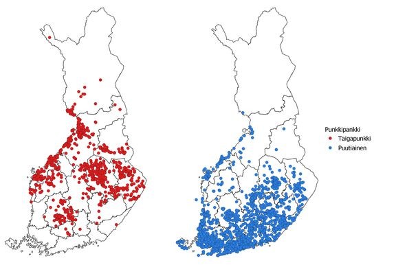 Suomalaiset ovat lähettäneet puutiaisia tutkijoille eri puolilta maata. Punaiset pisteet kuvaavat tutkijoille lähetettyjä taigapunkkeja ja siniset pisteet puutiaisia. 
