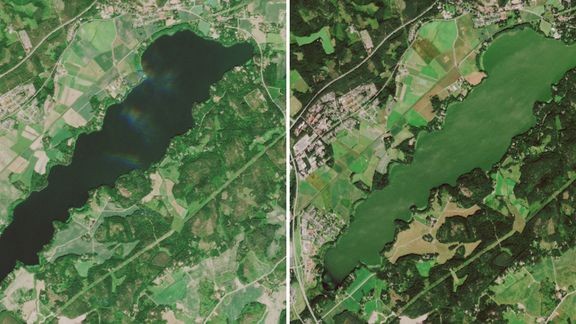 Vihdin Enäjärven sinilevätilanne kesä- ja elokuussa. Vasemmalla kesäkuun levätön tilanne ja oikealla elokuun runsas sinileväesiintymä. Sisältää muokattua Copernicus Sentinel-2 -dataa. 