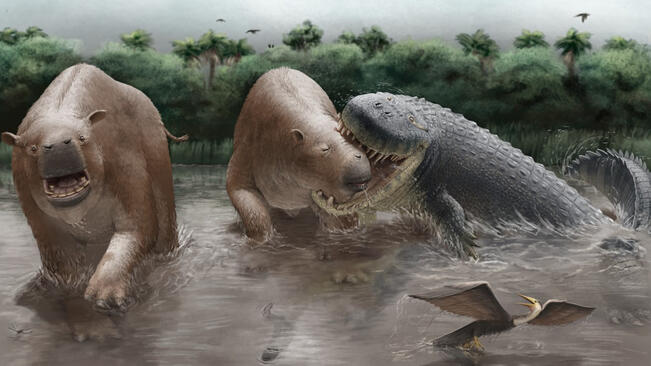 Purussarus neivensis hyökkäämässä Pericotoxodon platignathuksen kimppuun. 