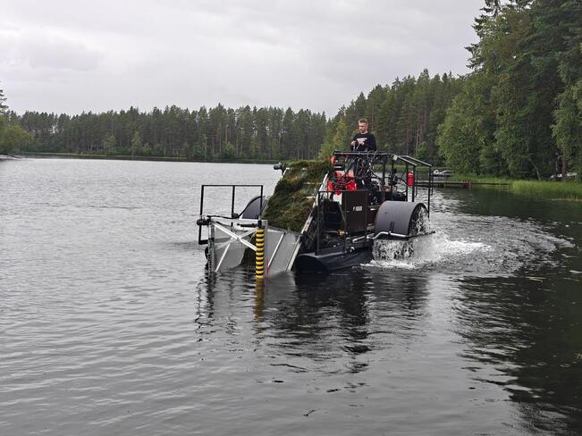 Oulun yliopiston tutkijat onnistuivat toteuttamaan käytännöllisesti tehokkaan ratkaisun työlääseen vesikasvien poistoon. 