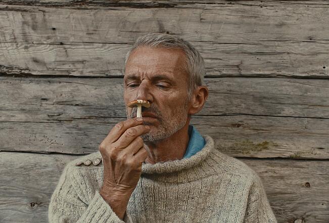 Lambert Wilson.